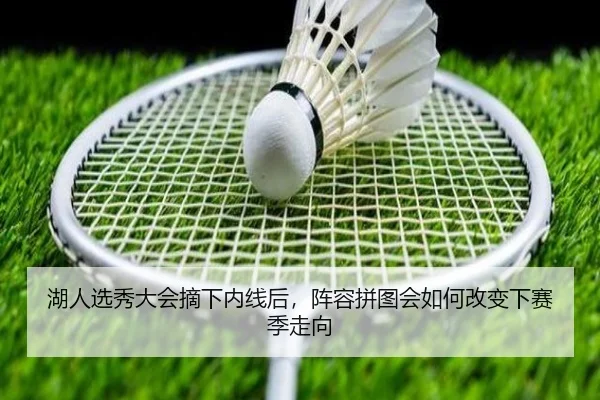 湖人选秀大会摘下内线后，阵容拼图会如何改变下赛季走向 - Kering